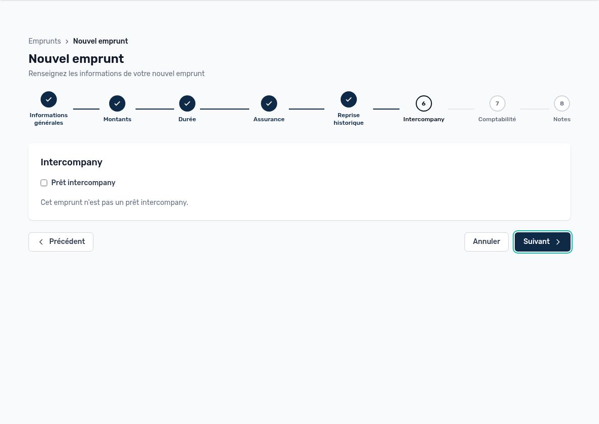 Step 6: intercompany loan